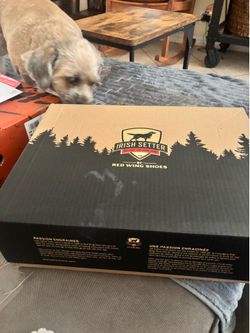 IRISH SETTER work boots