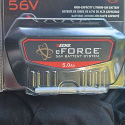 Echo 56V Lithium-ion Battery 