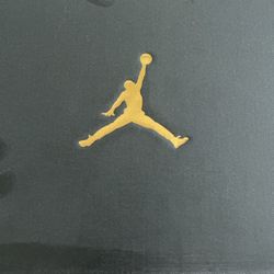 Air Jordan Shoe