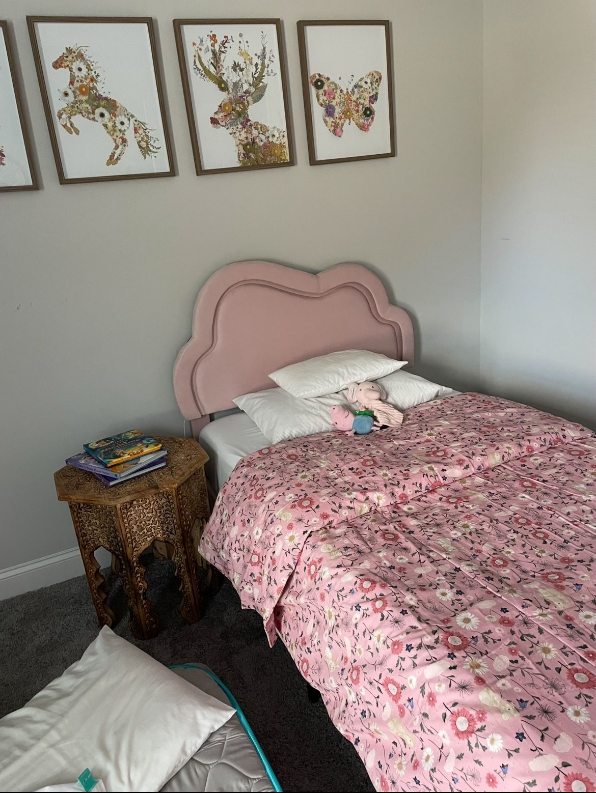 Twin Bed & Mattress
