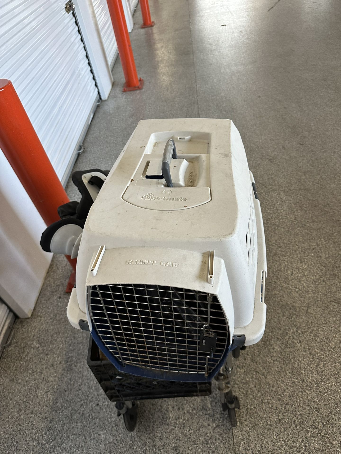 Dog or cat travel cage