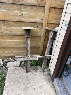 Swamp Chair