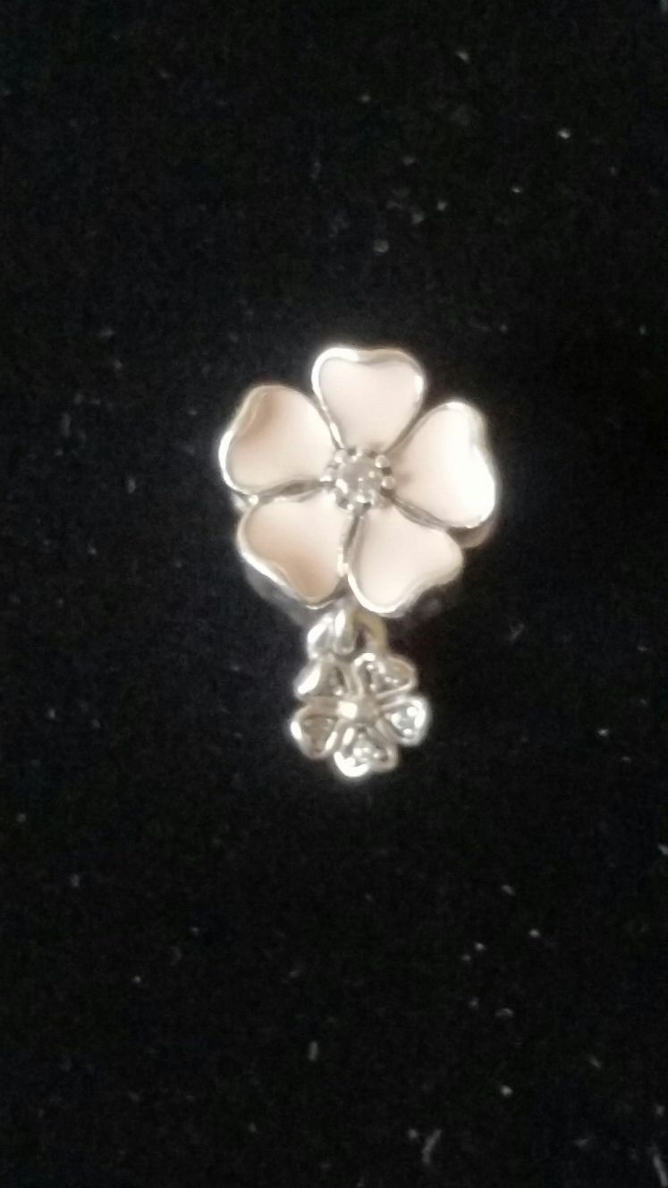 Pandora Booms Charm