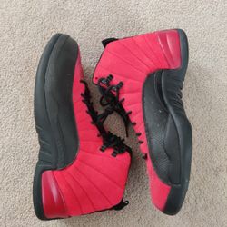 Air Jordan Retro 12 "Reverse Flu" Size 11 Men 