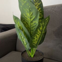 Artificial plant