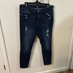 Brand New Express Pants Size 12