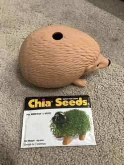 Chia Pet Hedgehog Planter + Chia Seeds (Complete)