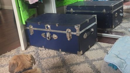 Storage trunk