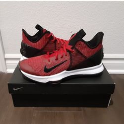 Nike LeBron Multiple Sizes Men's 11 + 11.5