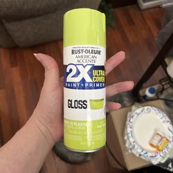 Rustoleum American Accents Paint Plus Primer KeyLime Green Hard To Find New