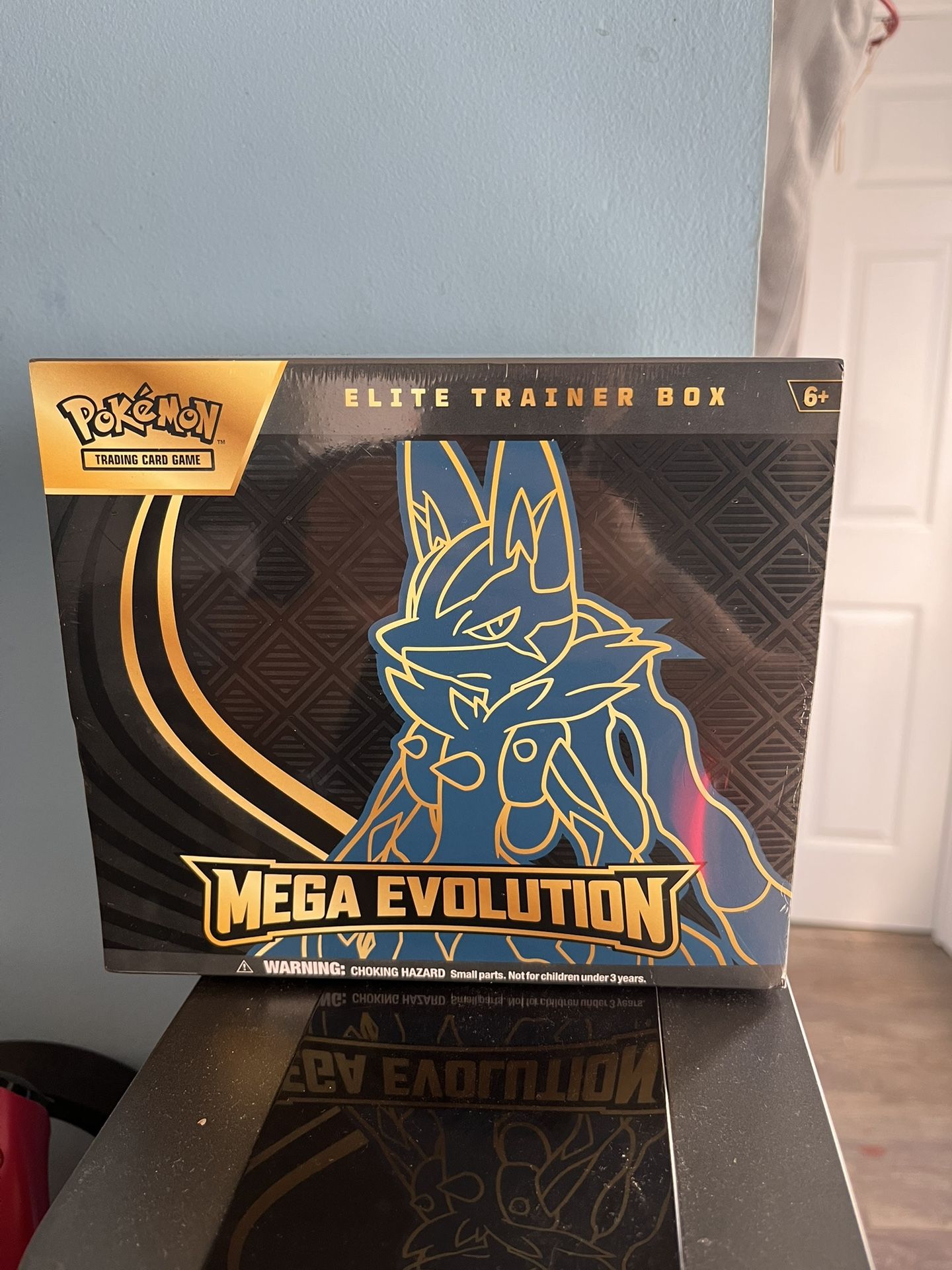 Pokémon Mega Evolution Elite Trainer