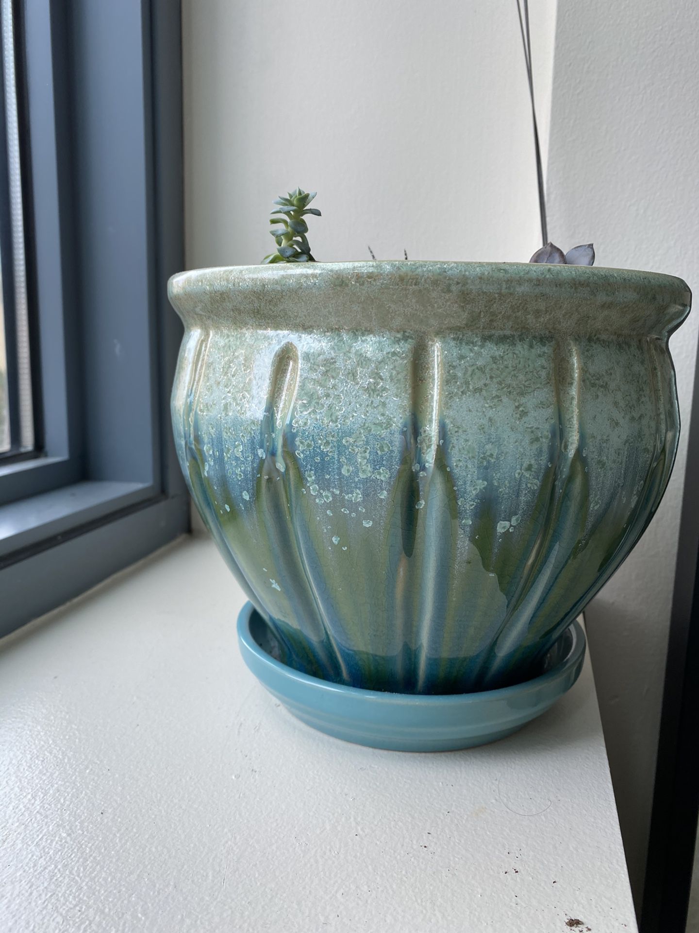 Beautiful ceramic pot with drainage tray included
