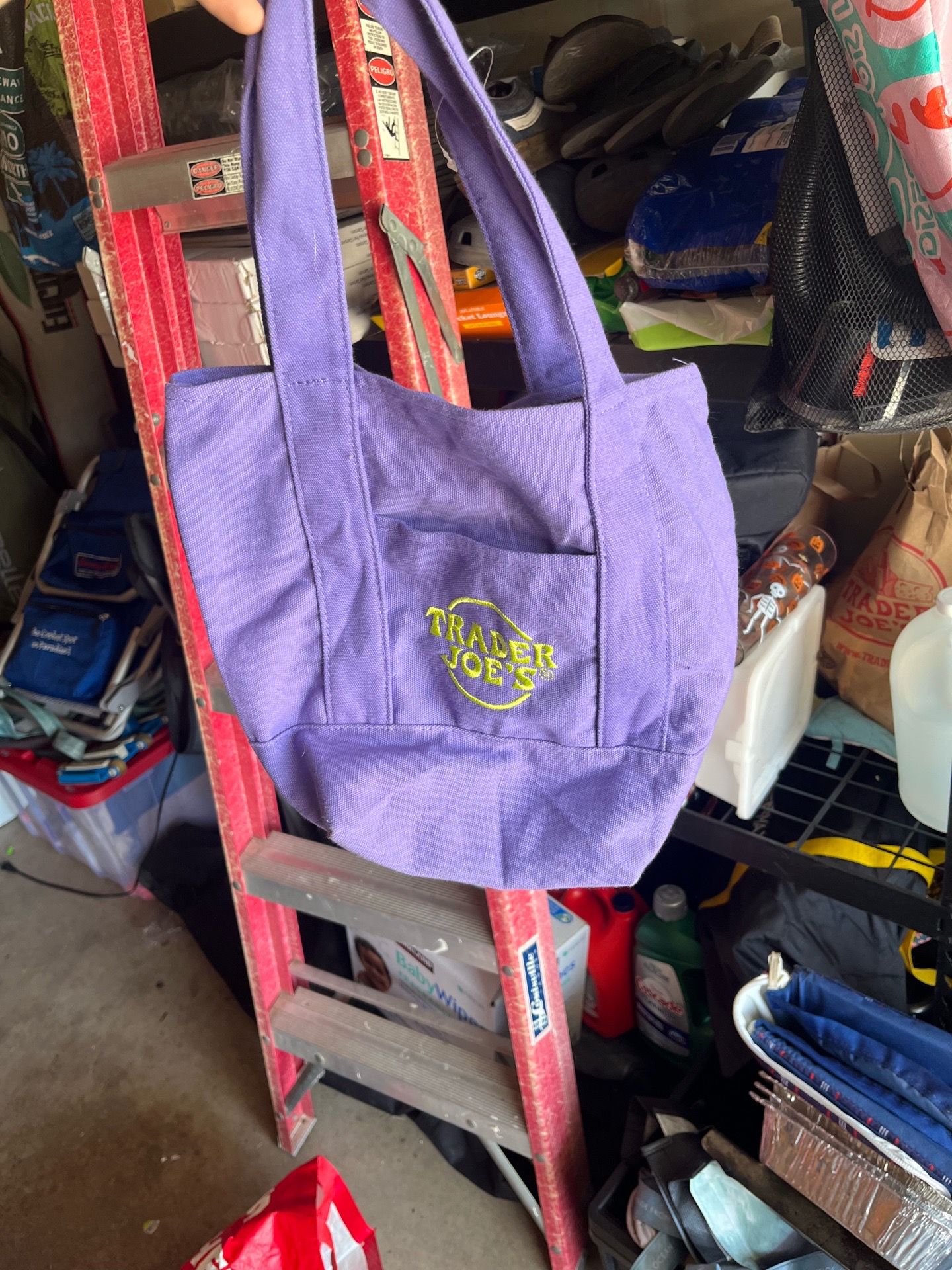 Purple Trader Joe’s Mini Canvas Tote Bag