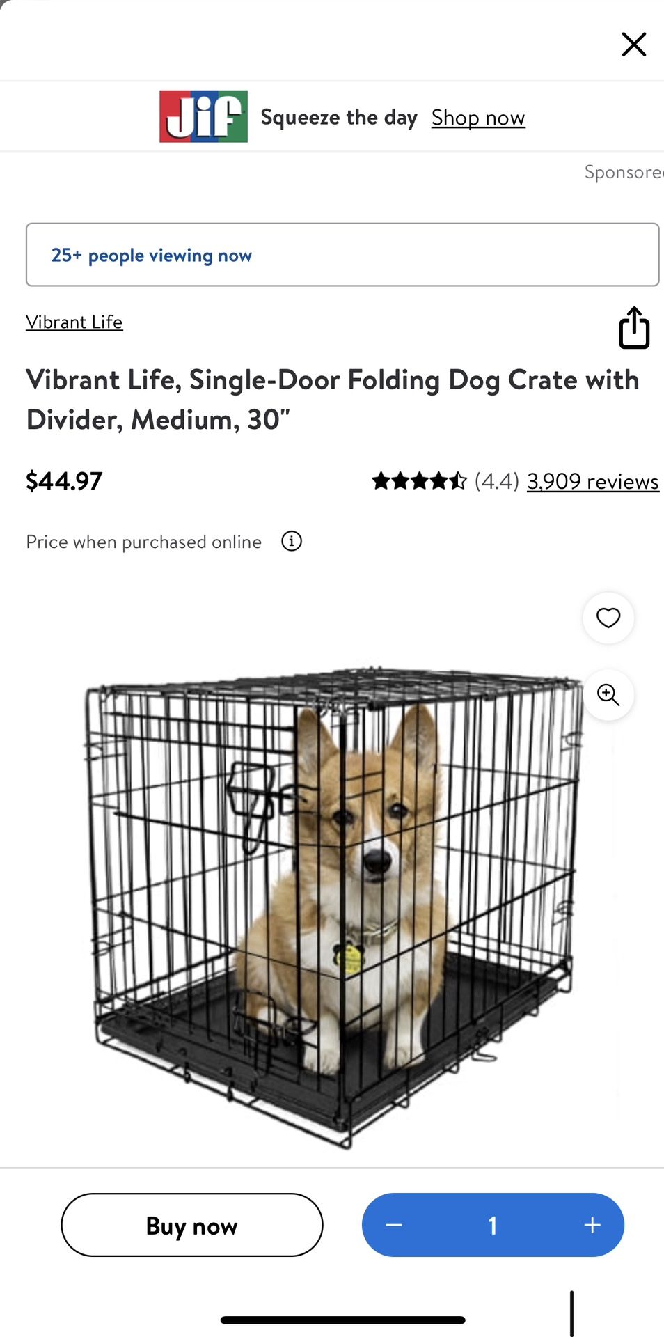 Vibrant Life, Single-Door Folding Dog Crate with Divider, Medium, 30"