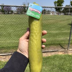 Squishy Pickle