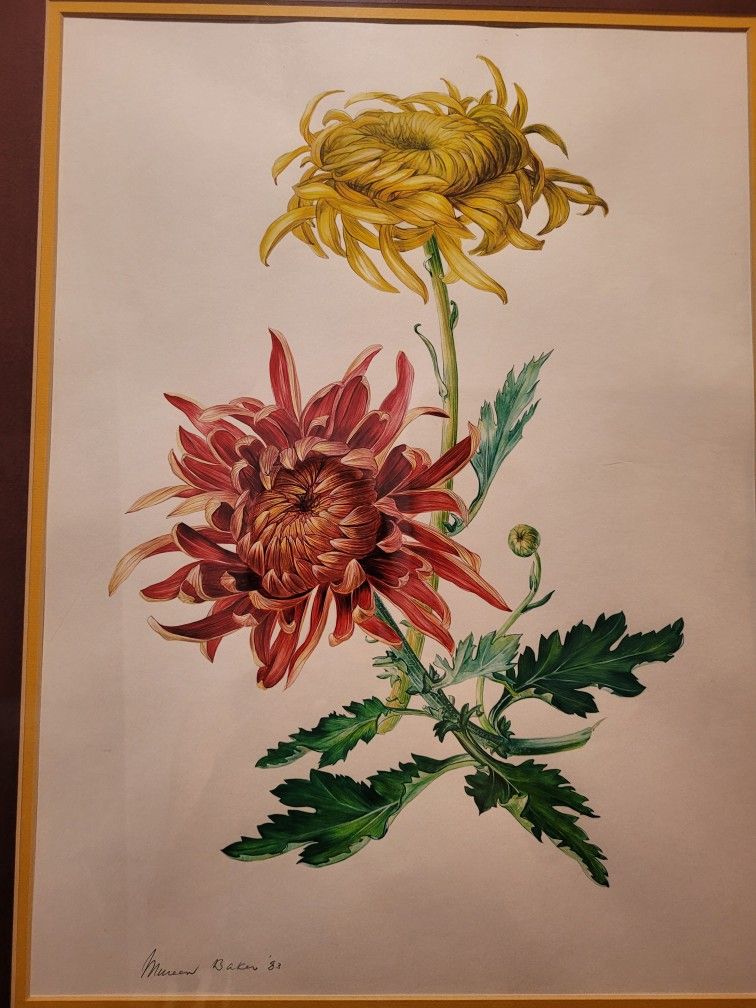 Framed Mureen Baker Floral Paintings (Set of 2)