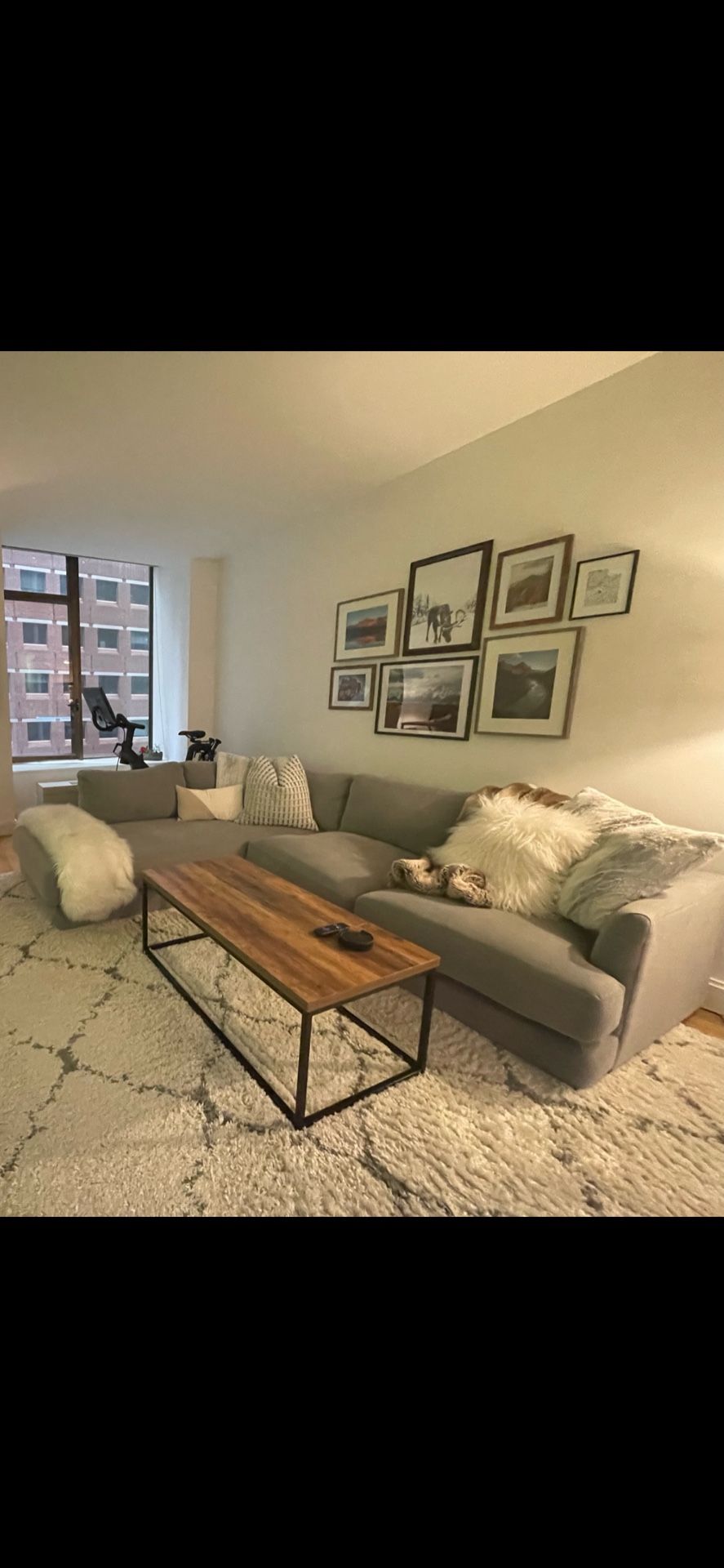 West Elm Sectional Couch