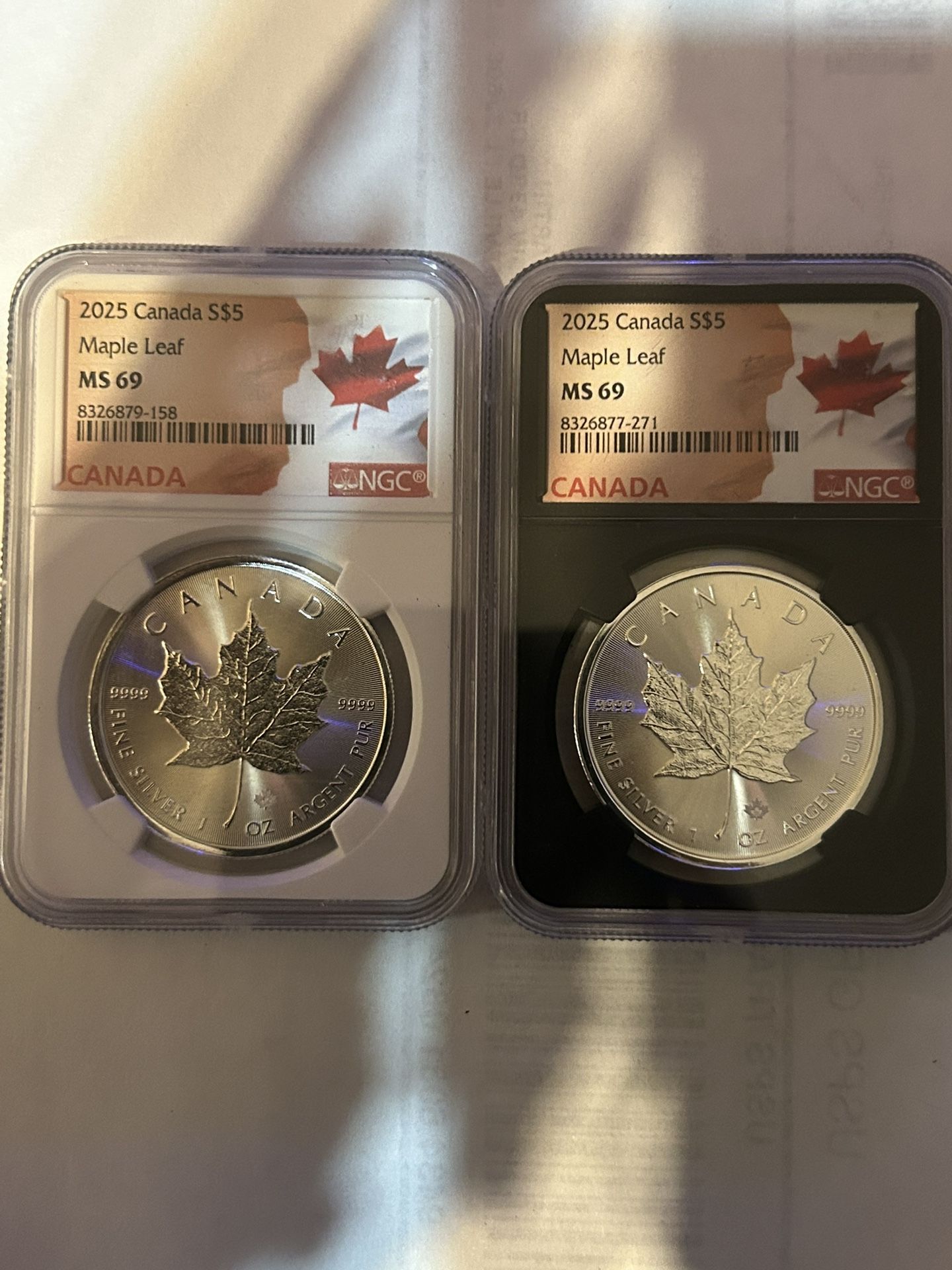 Two individual MS 69 black and white core maple leafs