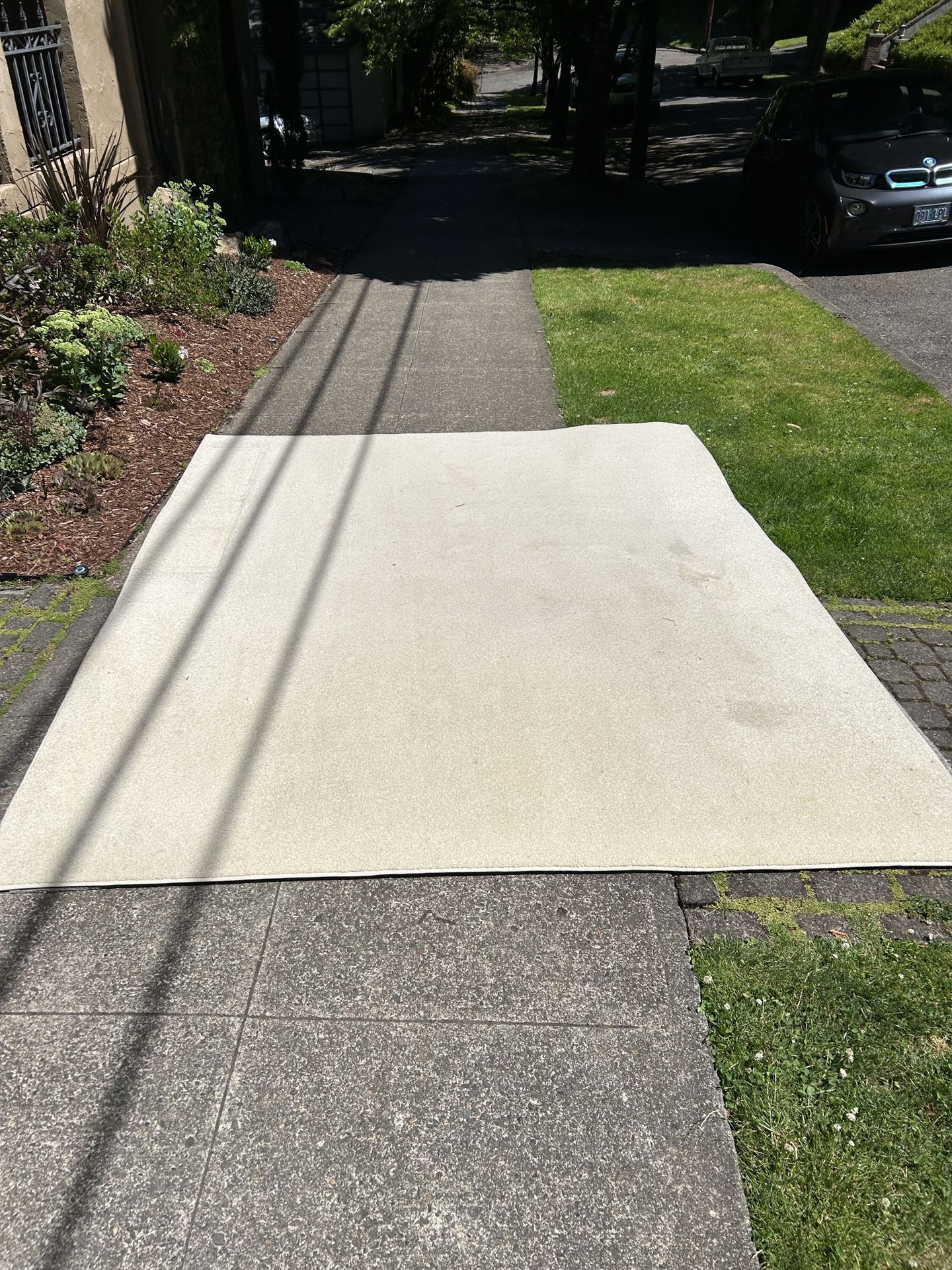 FREE Cream Rug & Carpet Pad