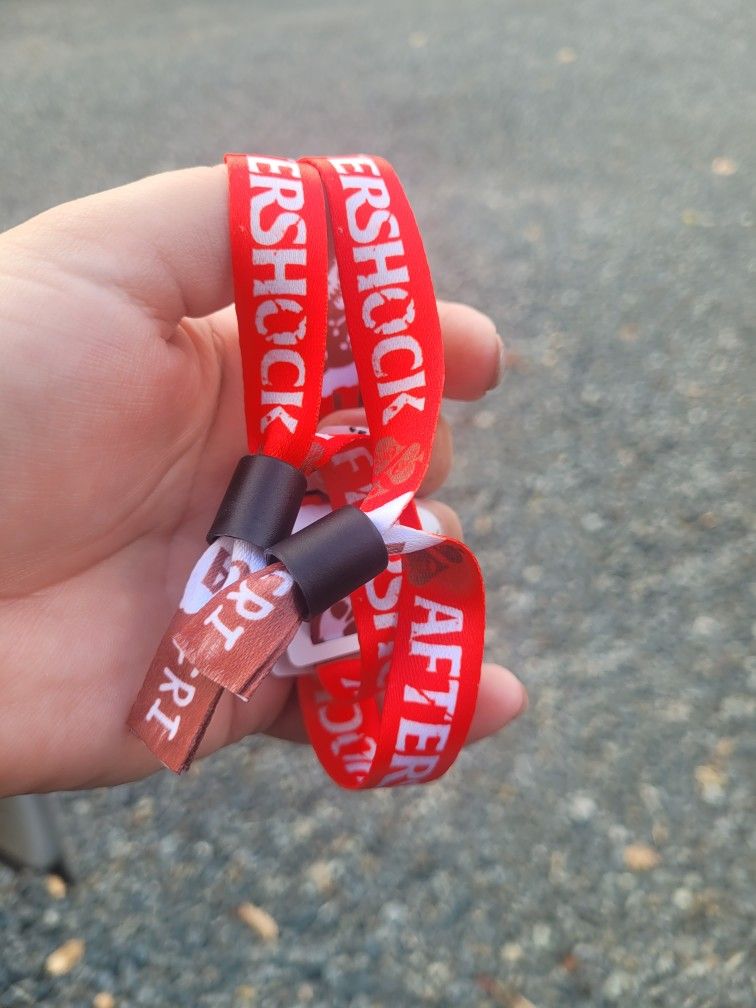 (PENDING SALE) Deftones AFTERSHOCK