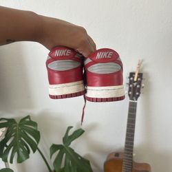 Unlv Dunks 