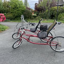 Matching Recumbent Bikes