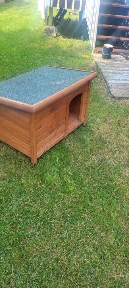 Dog 🐕 House
