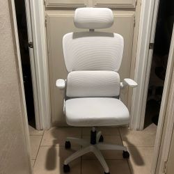 Ergonomic Office Chair