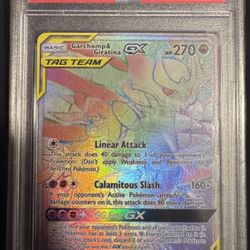 Garchomp & Giratina 247