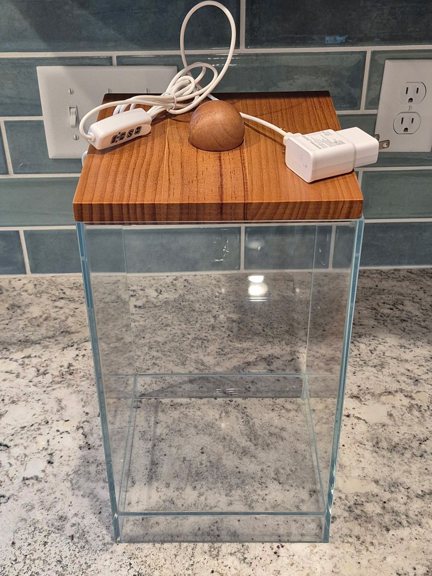 Large lighted glass terrarium