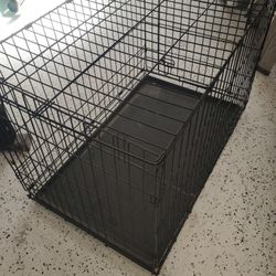 Dog Cage 