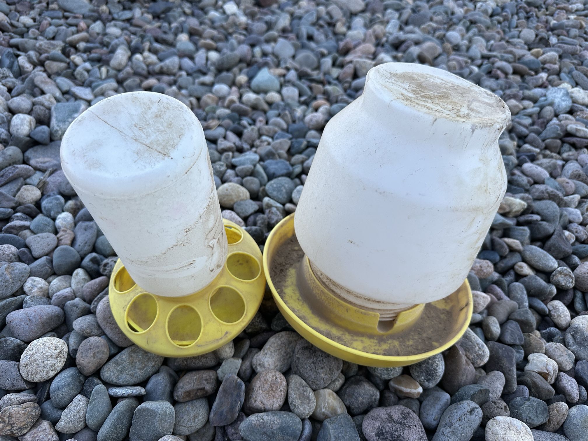 Baby Chick Feeder And Waterer