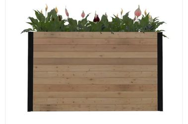 Mezza 59"L x 16"W x 32"H Large Cedar Parklette Planter, Golden Brown, VT17716