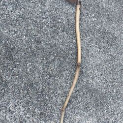 Antique Sickle 