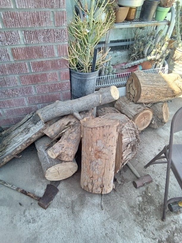 Firewood  30 Dollars For This
