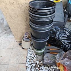 Plant Container
