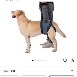 Harness For dog
