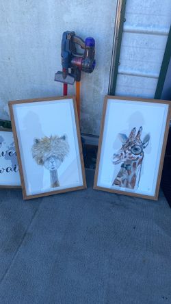 Picture Frames 