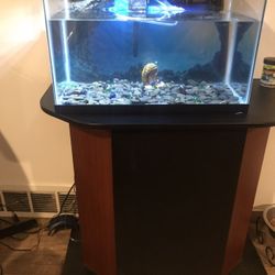 Fish tank with a base