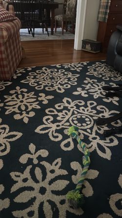 Rug