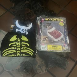 Pet   Costume