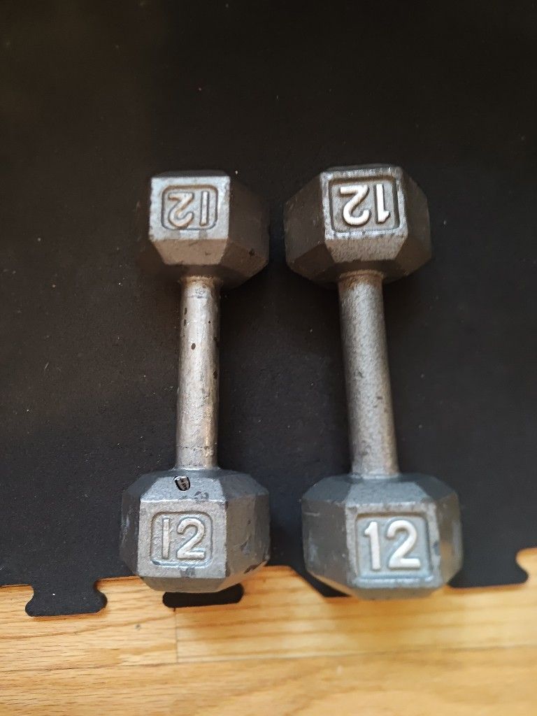 12lb Metal Hex Dumbbells