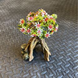 Fish Decoration