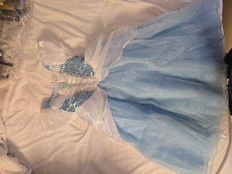 Cinderella Dress 5/6