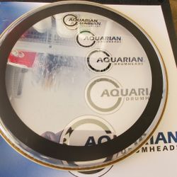 Drumhead 13 In