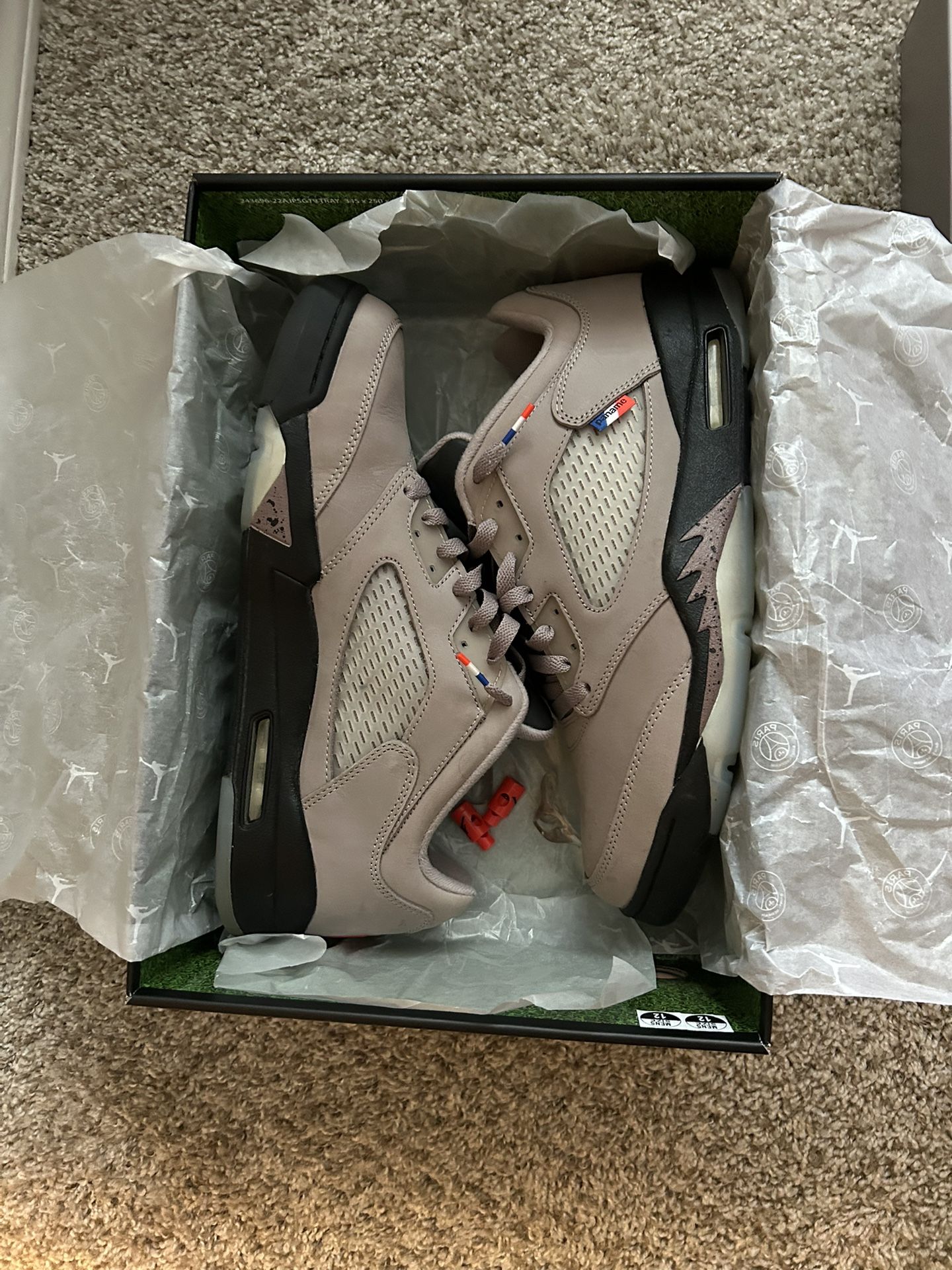 Paris Saint Germain Jordan 5 Low