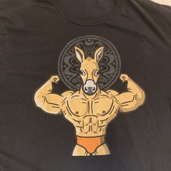 Gov’t Mule - 30 Years Strong Shirt 2024 Tour T Shirt Size 2XL