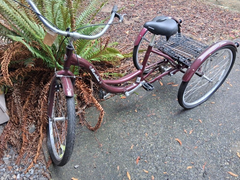 2 Schwinn Trike Tricycle s