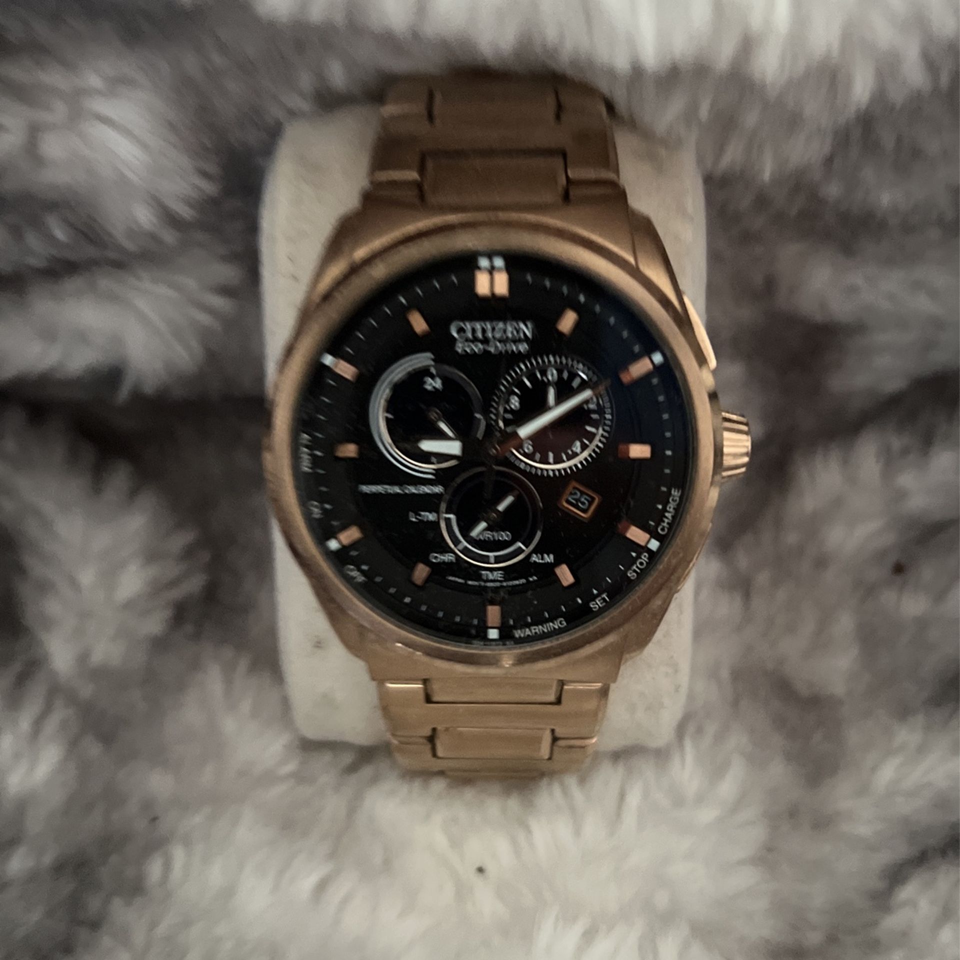 Citizen Watch
