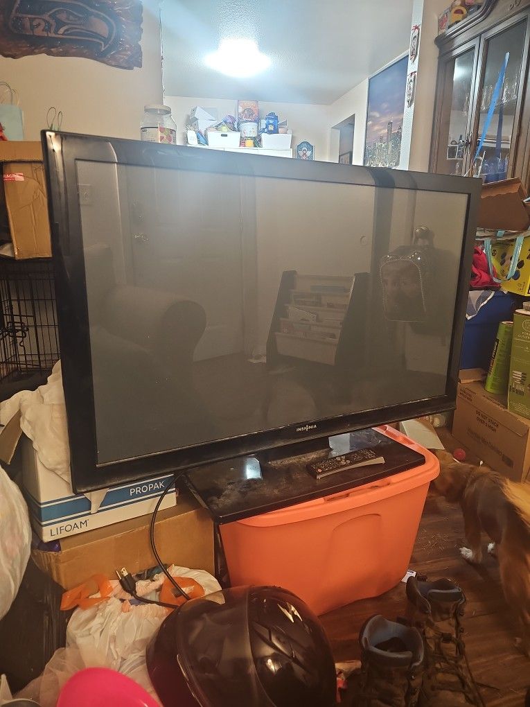 TV